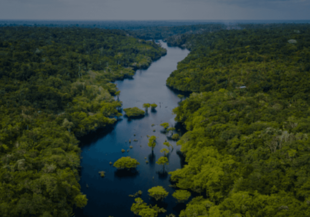 Gestión de la Biodiversidad y el Cambio Climático